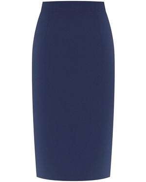 Alberta Ferretti Pencil Skirt - Blue