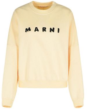 Marni Felpa Di Cotone Avorio - Metallizzato