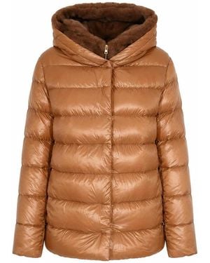 Herno Chaqueta Alcochada - Marrón