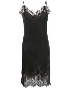 Gold Hawk Lace-Trim Velvet Slip Dress - Black