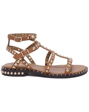 Ash Cachemere Mocha Mou Brass - Brown