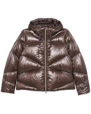 Herno Outerwear - Brown