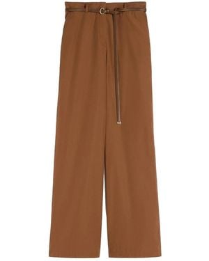 Max Mara Mstfarea - Brown
