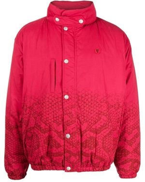ICECREAM Snakeskin-print Padded Jacket - Red