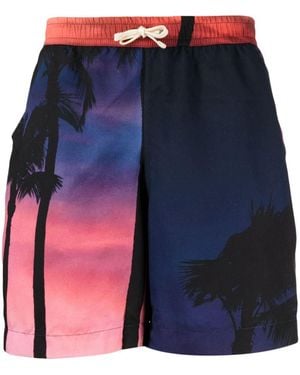 BLUE SKY INN Palm-Tree Print Shorts - Blue
