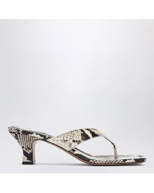 Paris Texas Python-print Thong Slides - White