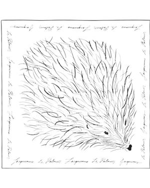 Jacquemus Silk Scarf - White