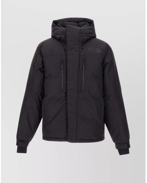 The North Face Winter Jackets - Blue