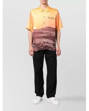 Carhartt Cotton Cargo Pants Wide Legs - Multicolor