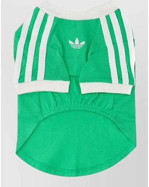 adidas T-Shirt - Green