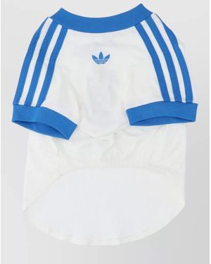 adidas Cotton T-Shirt - Blue