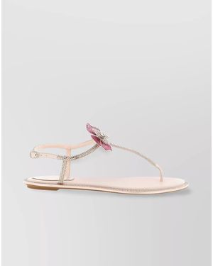 Rene Caovilla Satin Fairy Sandals - Multicolour