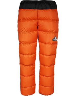 Ostrya Ski Pants - Orange