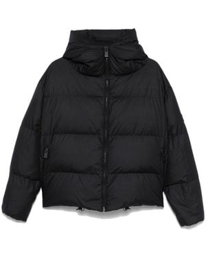Bacon Coats - Black