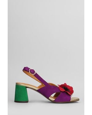 Chie Mihara Rutina 46 Pumps - Purple