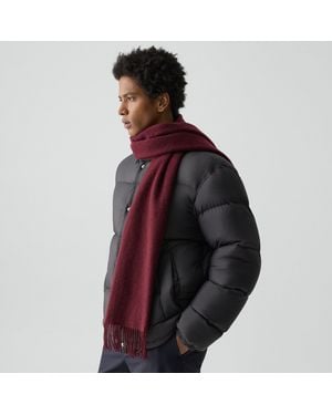 Theory Scarf - Red