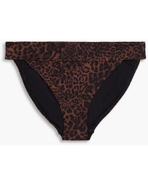 Jets by Jessika Allen Leopard-print Mid-rise Bikini Briefs - Black