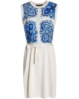 Dolce & Gabbana Printed Crepe De Chine-Paneled Silk Mini Dress - Blue