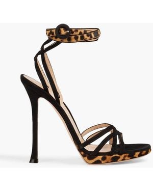 Gianvito Rossi Aurelia Leopard-Print Calf Hair And Suede Platform Sandals - Black