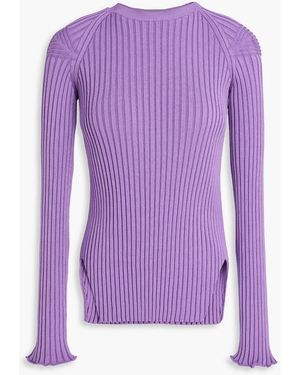 Stella McCartney Ribbed-knit Jumper - Purple