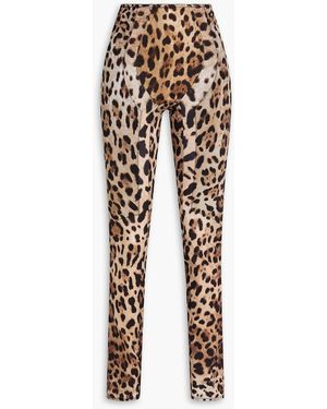 Dolce & Gabbana Leopard-print Mesh leggings - Multicolour