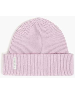 CORDOVA Ribbed Merino Wool-blend Beanie - Pink