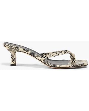 Aeyde Wilma Snake-Effect Leather Sandals - Multicolour