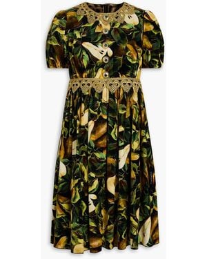 Dolce & Gabbana Lace-trimmed Floral-print Cotton-blend Velvet Mini Dress - Green