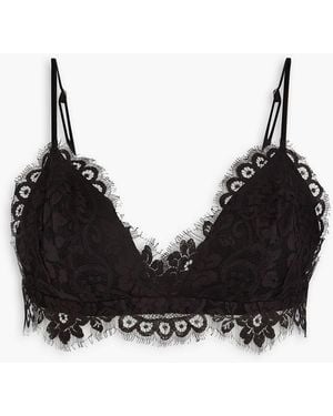 Zimmermann Cotton-blend Corded Lace Bra Top - Black