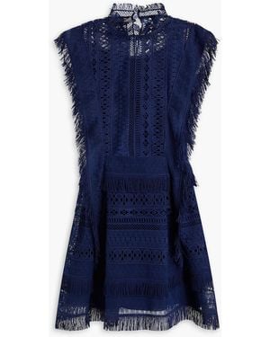 Alberta Ferretti Fringed Guipure Lace And Tulle Mini Dress - Blue