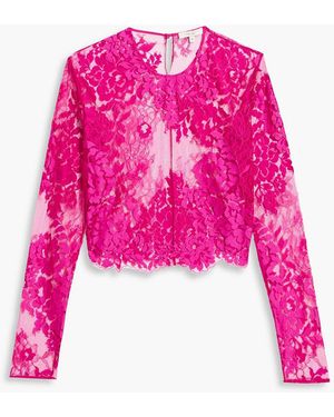 The Sei Cropped Corded Lace Top - Pink