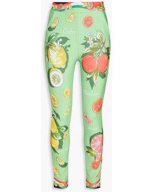 Dolce & Gabbana Printed Jersey leggings - Green