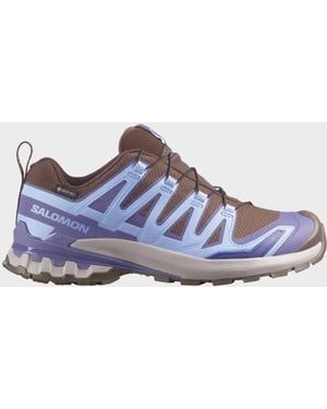 Salomon Women's Xa Pro 3d V9 Gore-tex - Blue