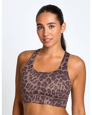 Lilybod Women's Astrid Ultra-core Sports Bra - Blue