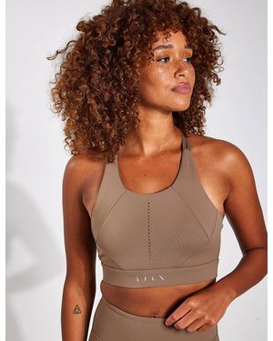 Born Women's Saril Sports Bra - Brown