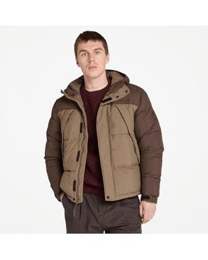 Timberland Durable Water-repellent Puffer Jacket For Men In Brown, Man, Brown, Size: 3xl