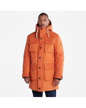 Timberland Wilmington Expedition Parka - Orange