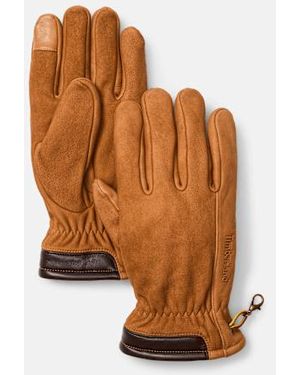 Timberland Winter Hill Nubuck Glove - Brown