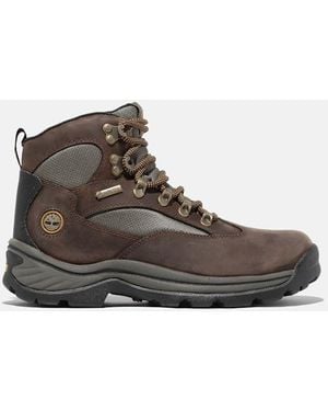 Timberland Chocorua Hiking Boot With Gore-Tex Membrane For - Brown