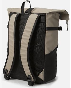 Timberland Weather Ready 30-litre Backpack In Brown, Brown - Black