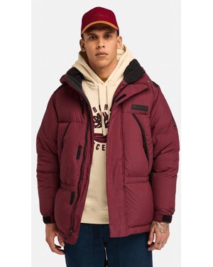 Timberland Re:down Howker Puffer Jacket For Men In Red, Man, Red, Size: 3xl