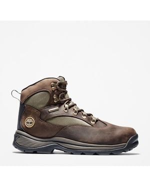 Timberland Chocorua Tall Lace-Up Waterproof Snow Boot - Brown