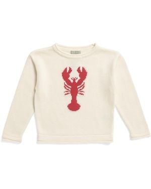 TJ Maxx Toddler Lobster Crew Neck Sweater, Cotton - White