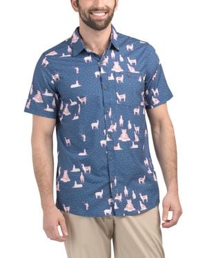 TJ Maxx Llama Button Down Shirt For Spandex/Polyester - Blue