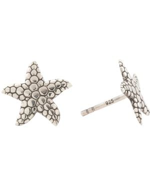 TJ Maxx Sterling Starfish Stud Earrings - Metallic