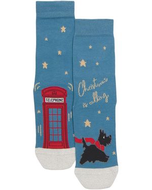 TJ Maxx Festive Dog Socks For Cotton - Blue