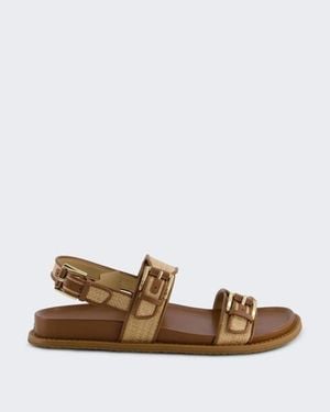 Michael Kors Sneaker - Bruin