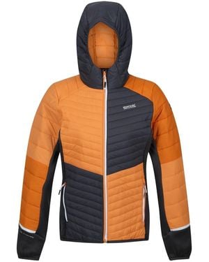 Regatta Trutton Pufferjas (Perzik Verpletterend/Grijs) - Blauw