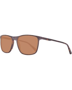 Helly Hansen Sunglasses Hh5004 C01 57 - Brown