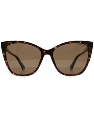 Polaroid Cat Eye Havana Bronze Polarized Pld 4181/S - Brown